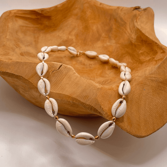 Sète - Collier de coquillages cauris et gold field